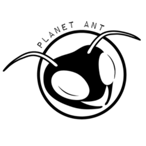 Planet Ant Theatre - Logo