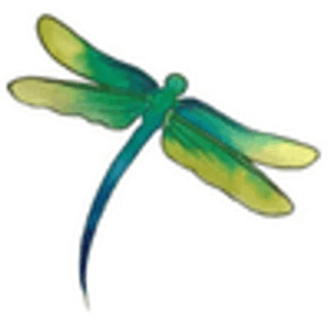 Dragonfly Massage - Logo