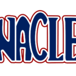 DynaClean Professional Services