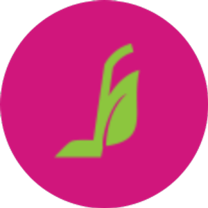 Green Cleaning Seattle - Otium-Maid Services