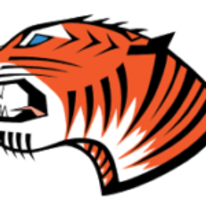 Tiger C Construction, LLC - Logo