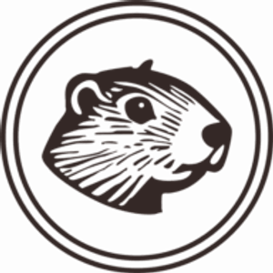 Go4 Cannabis Dispensary Lino Lakes, MN - Logo