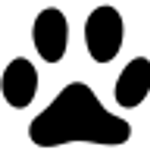 Sitsler Bostons - Logo