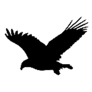 Hawks Real Estate Professionals
