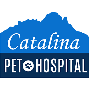Catalina Pet Hospital