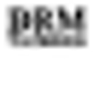 DRM Tax Services, Inc