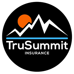 TruSummit Insurance - Logo