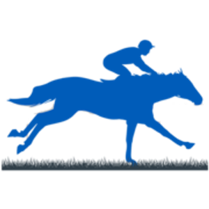 AikenHorseRealty - Logo