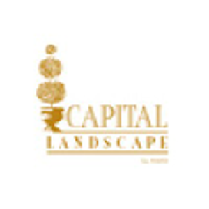 Capital Landscape
