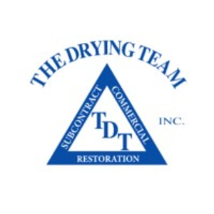 The Drying Team, Inc. - Logo