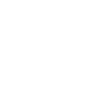 Unbounded Aesthetics - Logo