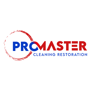 ProMaster Cleaning and Restoration - Logo