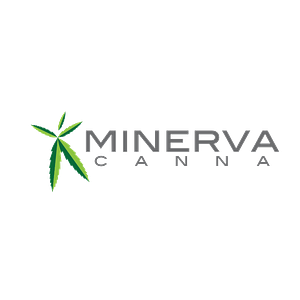 Minerva Canna - Grove Medical Marijuana Dispensary
