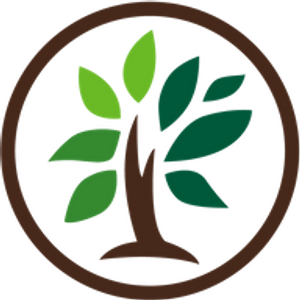 A & E Property Services LLC