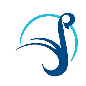 Wisconsin Vein Center & MediSpa - Logo
