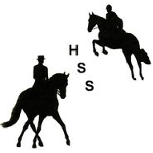 High Standard Stables - Logo