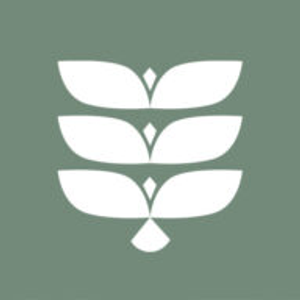 3 Little Birds Salon ✂ - Logo
