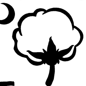 Southern Palmetto Farms - Logo