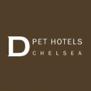 D Pet Hotels Scottsdale