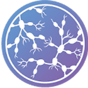Lymphatic Wellness & Massage - Kathy Walsh LMBT, CLT - Logo