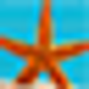 The Seaside Real Estate Store - Logo