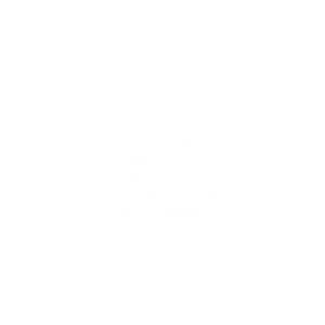 Rough Coat Photography