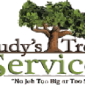 Rudy's Tree Service - Tree service in Dallas