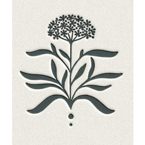 Wild Herb Women's Wellness