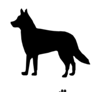 Canine Connection llc - Logo