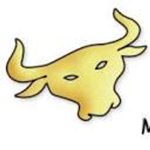 The Bull Guys