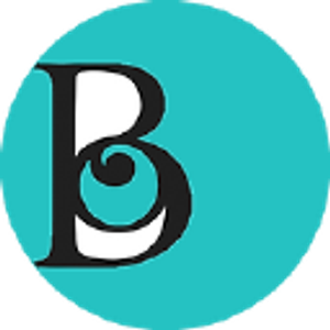 Baby Beginnings New England - Logo
