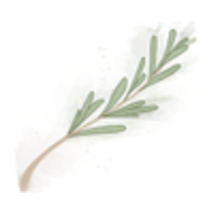 Fine Living Studios - Logo