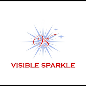 Visible Sparkle Mobile Detailing - Logo