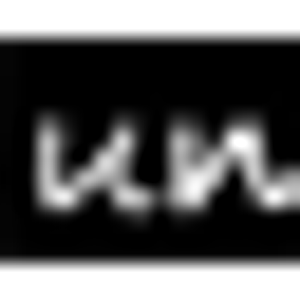 Undone Salon - Logo