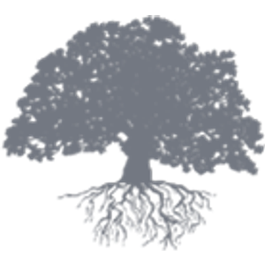 Mount Pleasant Spine Center - Logo