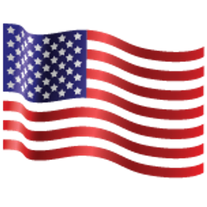 American Asphalt Paving & Sealcoating LLC - Logo