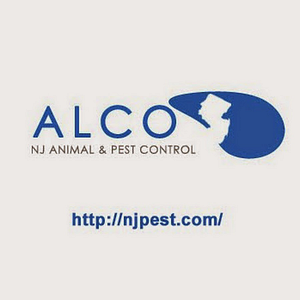 ALCO Animal & Pest Control - Logo