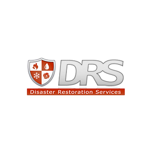 Disaster - Logo