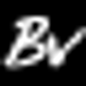 Blossom Valley Collision - Logo