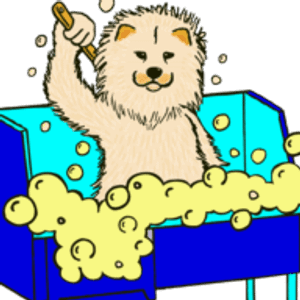 The Pet Wash