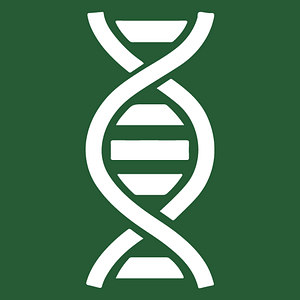 Biomend Aesthetics and Wellness - Logo