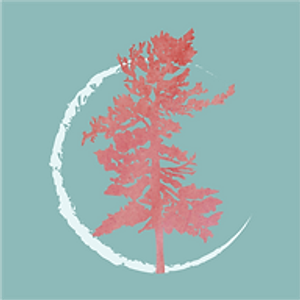 Andrea F. Woodhouse - Psychic, Coach, Family Constellations - Psychic in Vancouver