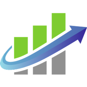 Raleigh SEO Company - Logo