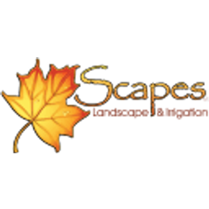 Scapes LLC