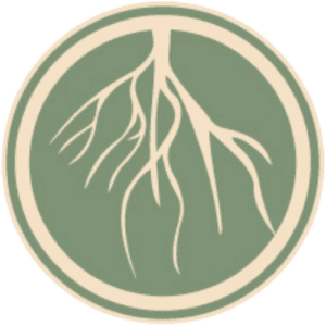 Radix Chiropractic - Logo