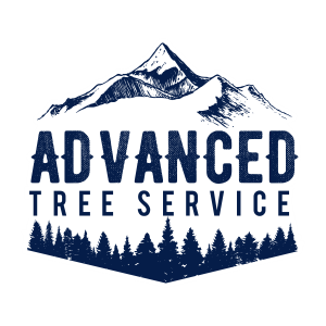 Advanced Tree and Plow Experts