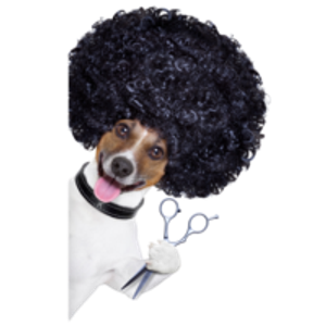 Wags My Tail Pet Grooming - Logo