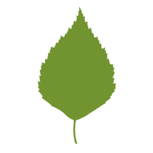 River Birch Builders