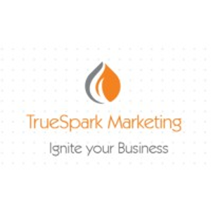 TrueSpark Bookkeeping LLC - Logo