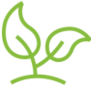 Elkhorn Lawn Care - Logo